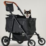 Best Dog Stroller for 2 Dogs