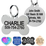 Best Dog Tags for Large Dogs