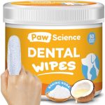 Best Dog Teeth Cleaning near Me