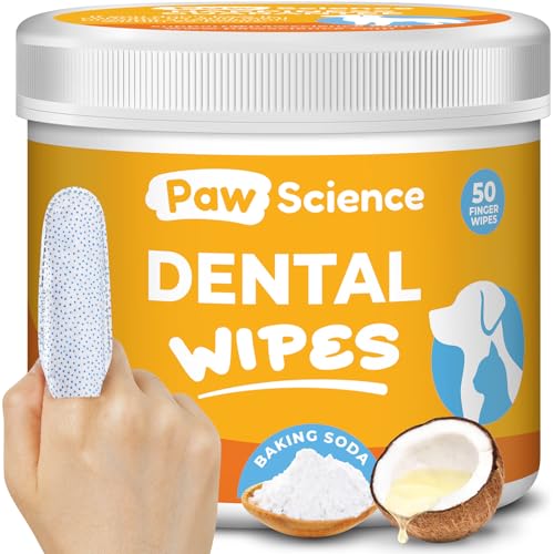 Best Dog Teeth Cleaning near Me