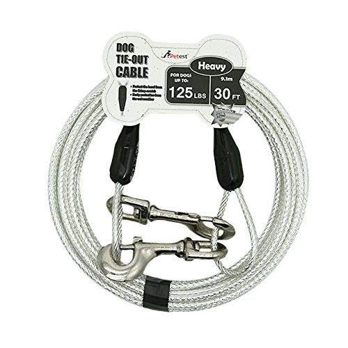 Best Dog Tie Out Cable