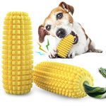 Best Dog Toy for Chewers