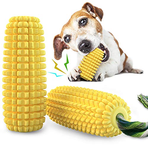 Best Dog Toy for Chewers