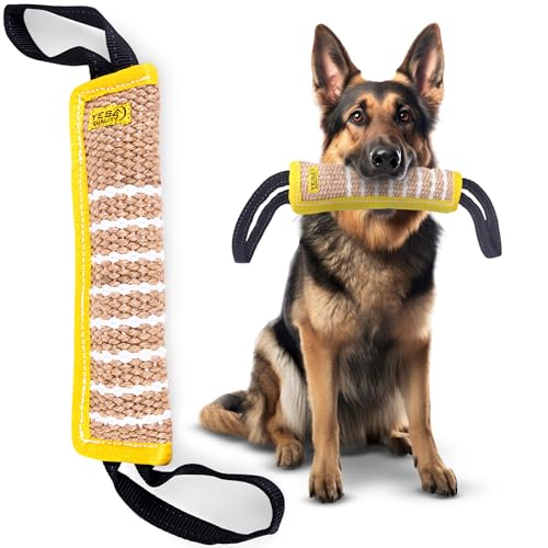 Best Dog Toys for Belgian Malinois