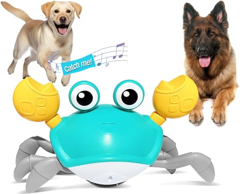 Best Dog Toys for Christmas