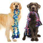 Best Dog Toys for Dobermans