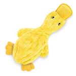 Best Dog Toys for Goldendoodles