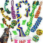 Best Dog Toys for Great Danes