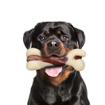 Best Dog Toys for Rottweilers
