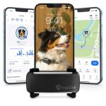 Best Dog Tracker for Small Dogs