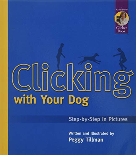 Best Dog Trainer in Miami