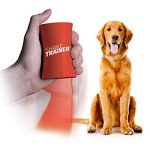 Best Dog Trainer in the World