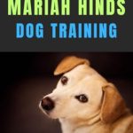 Best Dog Trainers in Charlotte Nc