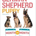 Best Dog Training Books for German Shepherds