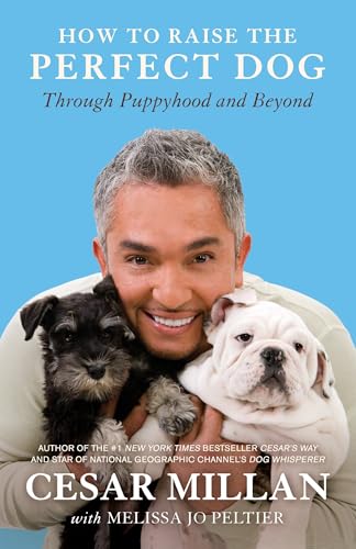 Best Dog Training Camps near Me