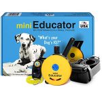 Best Dog Training E Collar