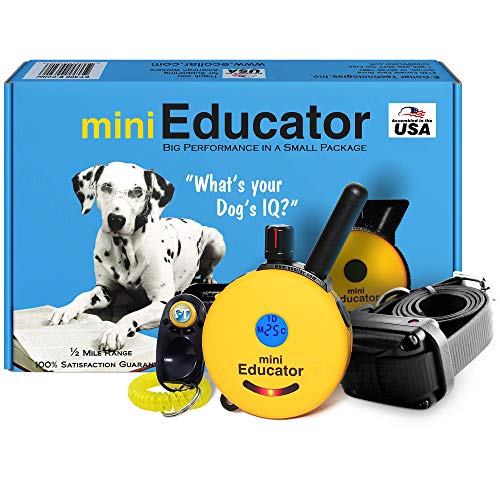 Best Dog Training E Collar