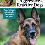 Best Dog Training for Aggressive Dogs