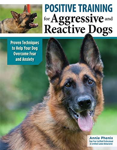 Best Dog Training for Aggressive Dogs
