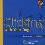 Best Dog Training in Miami