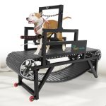 Best Dog Treadmill for Large Dogs