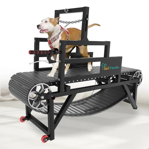 Best Dog Treadmill for Large Dogs