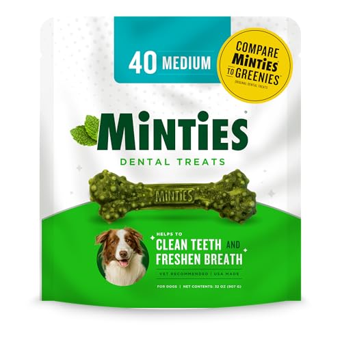Best Dog Treats for Clean Teeth