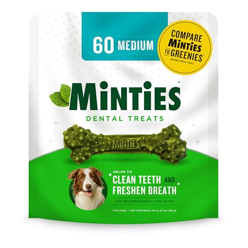 Best Dog Treats for Cleaning Teeth