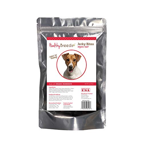 Best Dog Treats for Jack Russell
