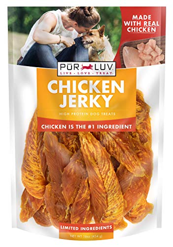 Best Dog Treats for Shih Tzu