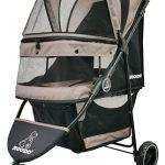 Best Dog Walkers near Me