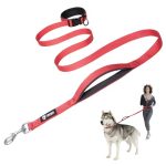 Best Dog Walking Areas near Me
