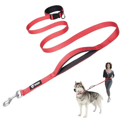 Best Dog Walking Areas near Me