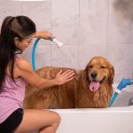 Best Dog Washing Hose Attachment