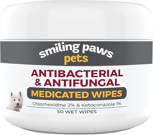 Best Dog Wipes for Itchy Paws