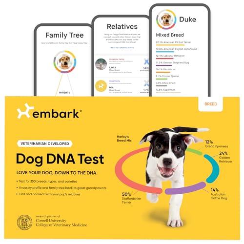 Best Dogs for a Family