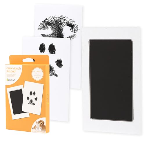 Best Dogs for Cat Owners