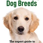 Best Dogs for Families That Don'T Shed