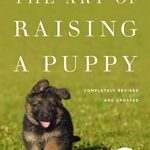 Best Dogs for First Time Dog Owners