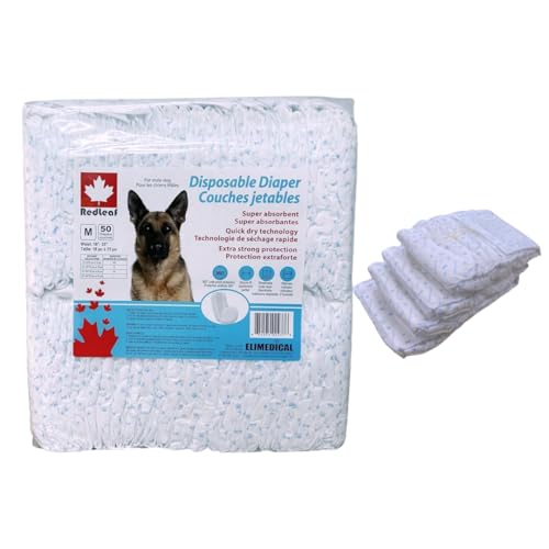 Best Dogs for Hot Climates