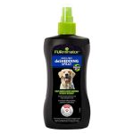 Best Dogs for No Shedding