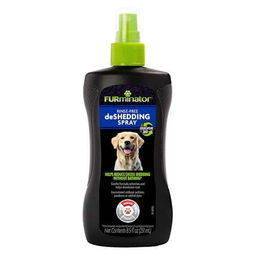 Best Dogs for No Shedding