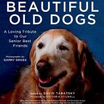 Best Dogs for Older Folks