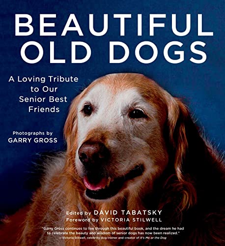 Best Dogs for Older Folks