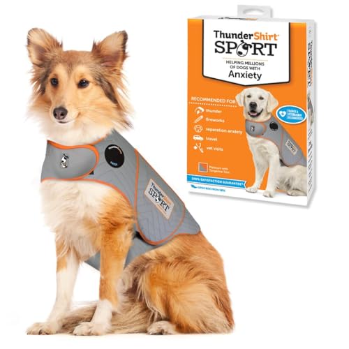 Best Dogs for People With Anxiety