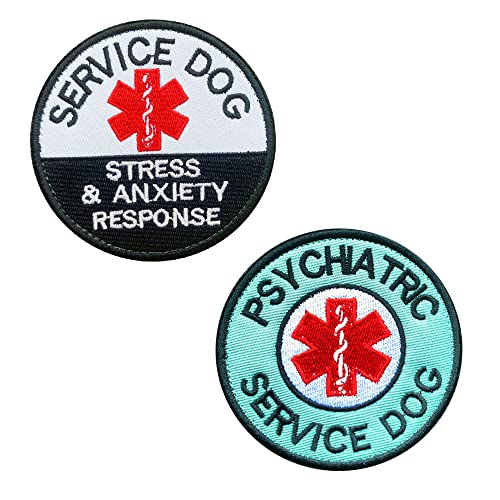 Best Dogs for Psychiatric Service Dogs