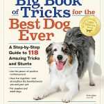 Best Dogs for Running Companions