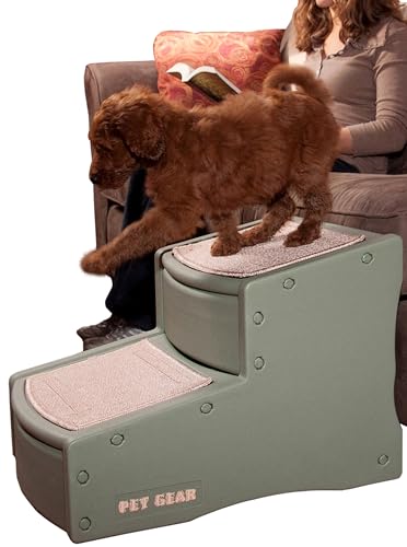 Best Dogs for Seniors in Apartments