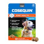 Best Dogs for Seniors Over 60