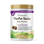 Best Dogs for Seniors Over 70